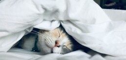 Trouble sleeping? Try this.