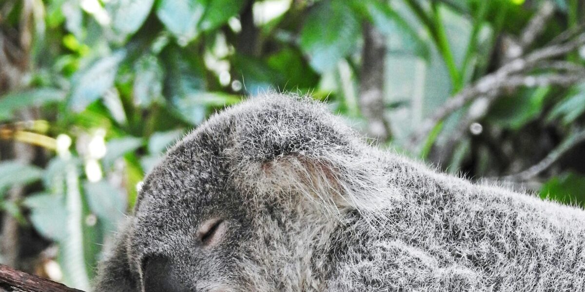 Mindfulness for Sleep: Simple Techniques for Restful Nights